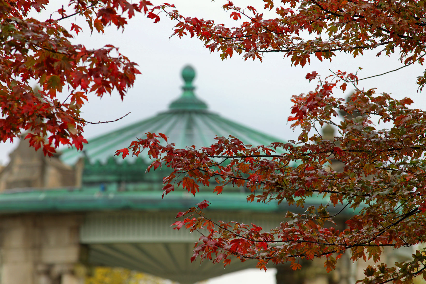 Fall colors at Forest Park